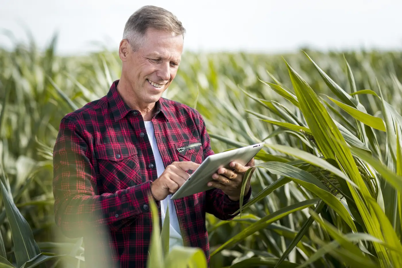 Produtor rural e contador analisando dados da safra em tablet no campo - Grik Contabilidade Castro PR Produtor rural e contador analisando dados da safra em tablet no campo - Grik Contabilidade Castro PR