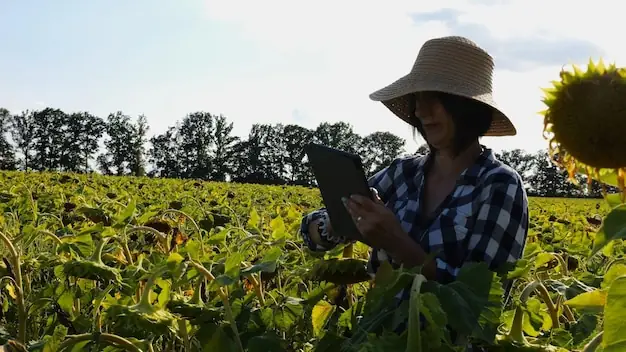 Produtor rural garantindo isenção IBS CBS Reforma Tributária - Grik Contabilidade Castro PR Campos Gerais
