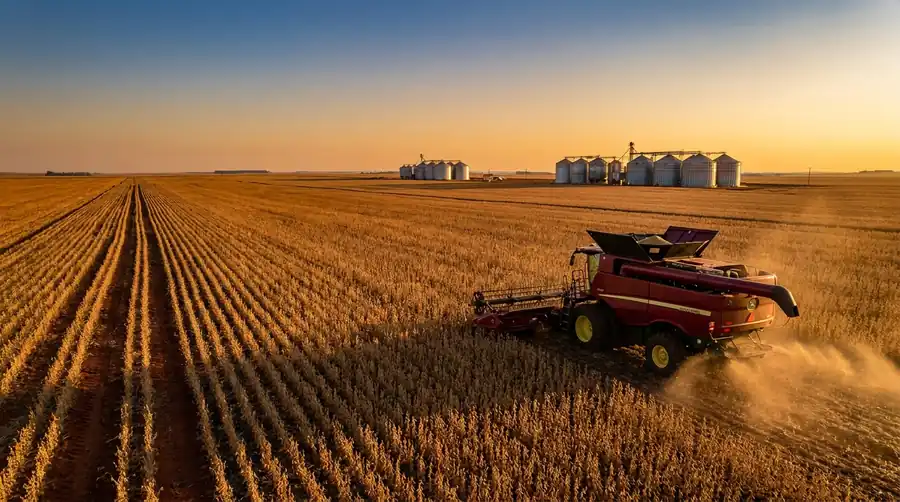 Produtor rural brasileiro na transição tributária 2026-2033 - pessoa física, pessoa jurídica, holding rural - soja, milho, café, cana, leite, pecuária - Grik Contabilidade Produtor rural brasileiro na transição tributária 2026-2033 - pessoa física, pessoa jurídica, holding rural - soja, milho, café, cana, leite, pecuária - Grik Contabilidade